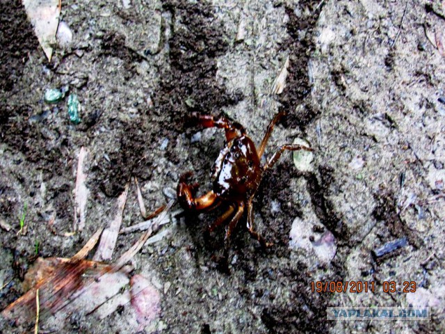 Что такое Бангладеш?