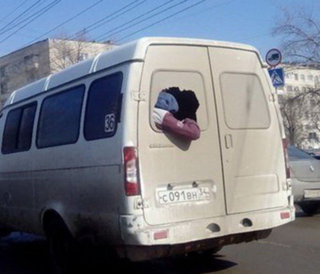 Забавные картинки из Сети