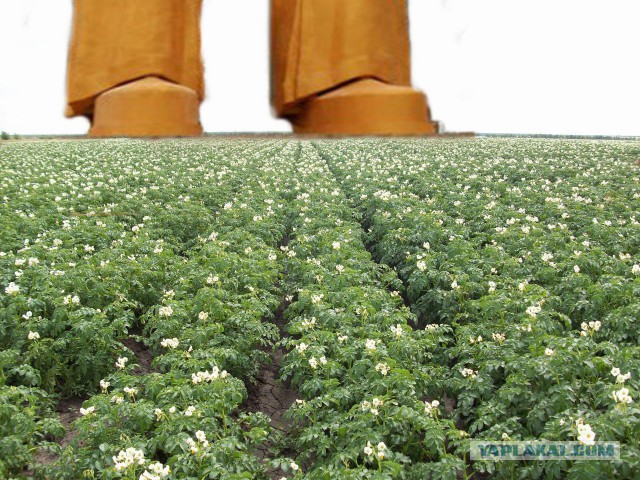 Где-то в Беларуси