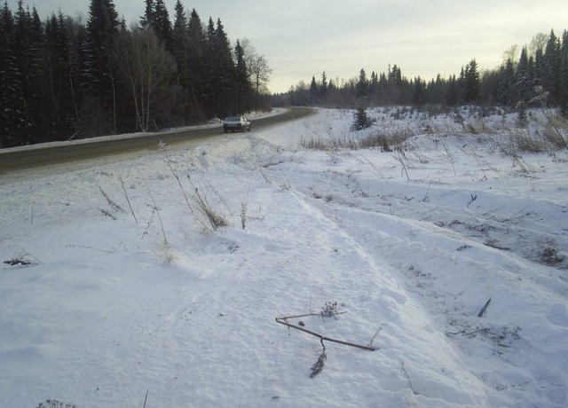 Никогда, никогда, никогда не проезжайте мимо!