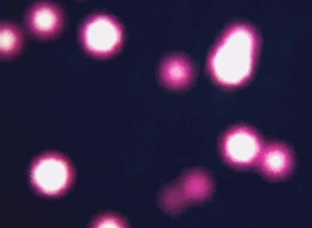 Просто и по-русски о гравитационных волнах