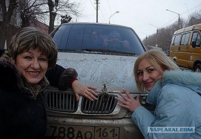 Забавные картинки из сети