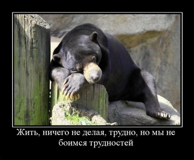 Картинки для поднятия настроения - 4