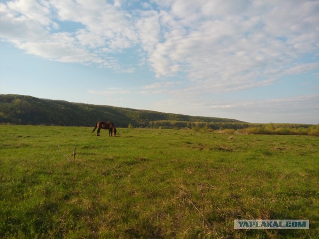 Дачные приколы