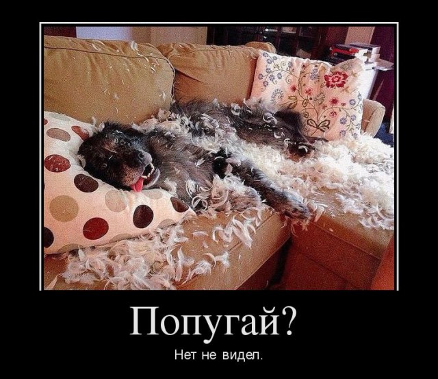 Улыбнись - демотиваторы заЯПись