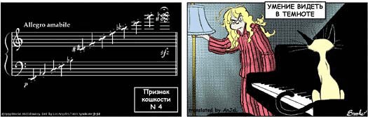 Признаки кошкости