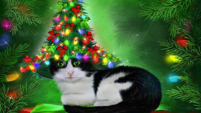 Коты из сети