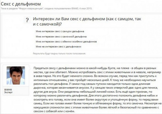 А дельфины умные...
