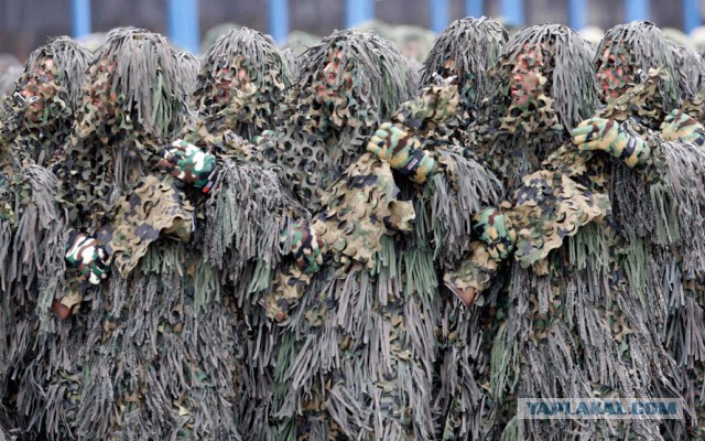 Пойди найди: снайпера ВДВ показали чудеса маскировки в лесах Псковской области