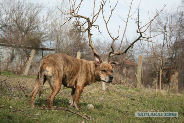 Показалось: 39 сумасшедших фотографий