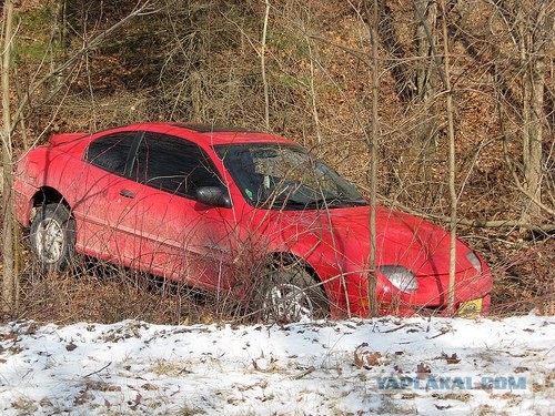 А вокруг лес