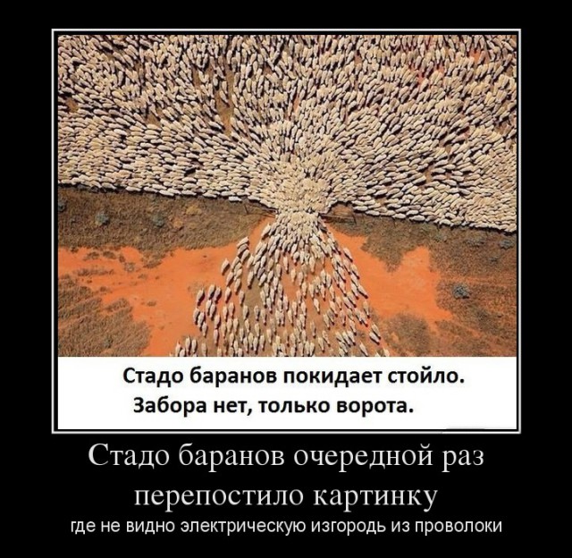 Жизнь, наполненная чудесами и волшебством