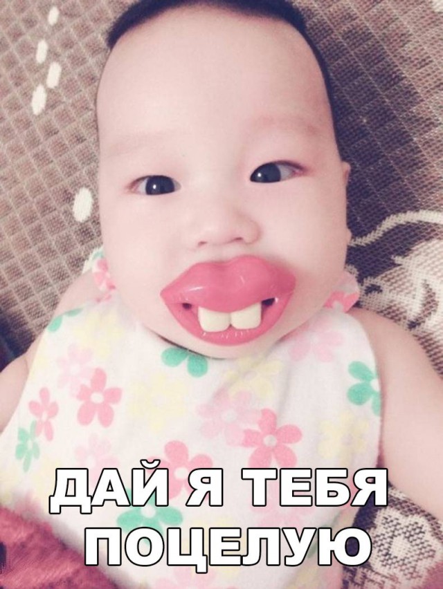 Прикольные картинки обо всем