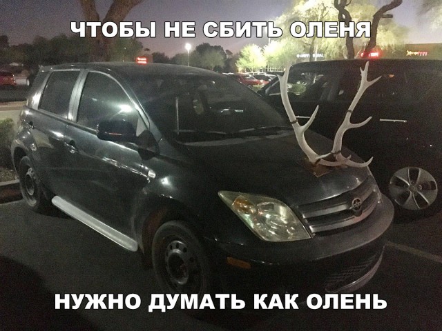 Подборка прикольных фоток
