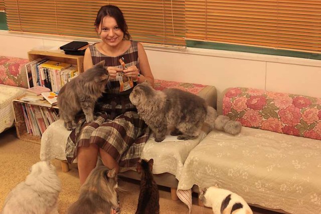 Кошачье кафе в Осаке