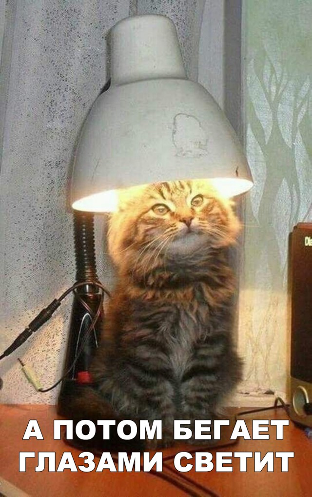 Немного милоты