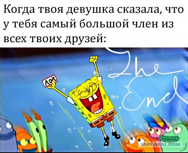 Разные картинки из интернета