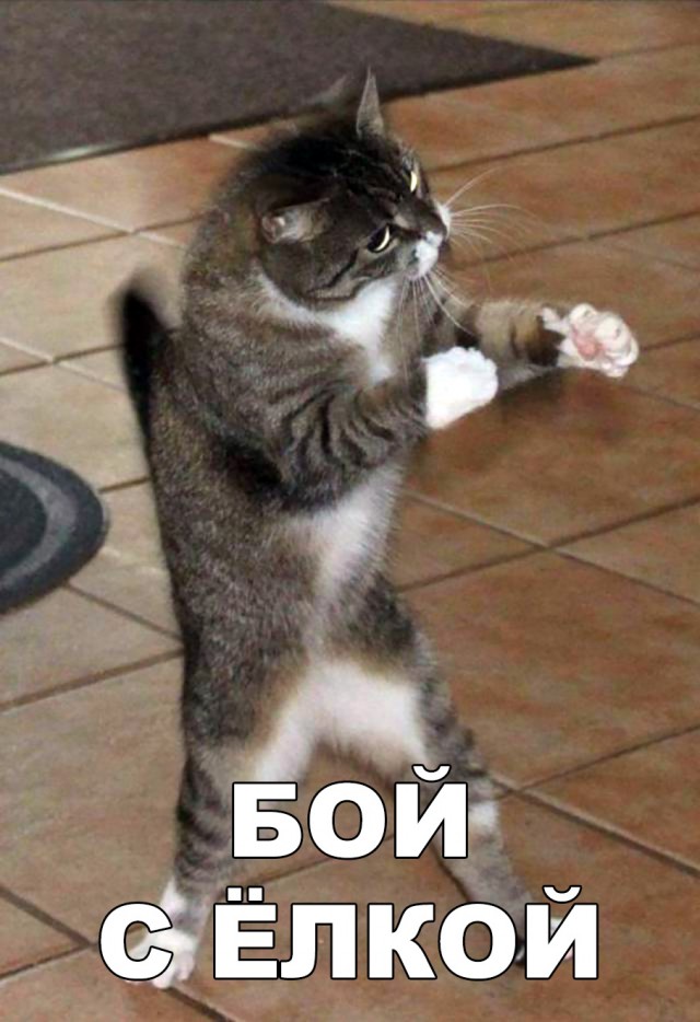 Прикольные картинки абавсём