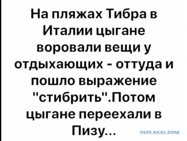Кривые зеркала