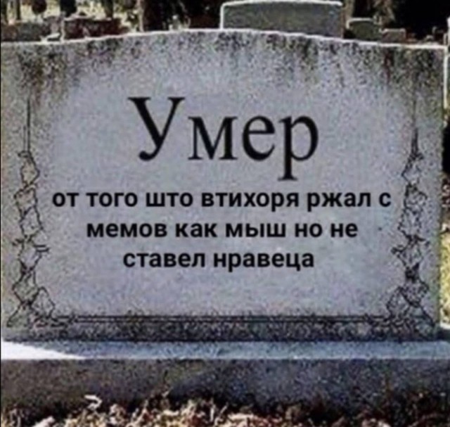 Немного картинок для настроения 24.02.20