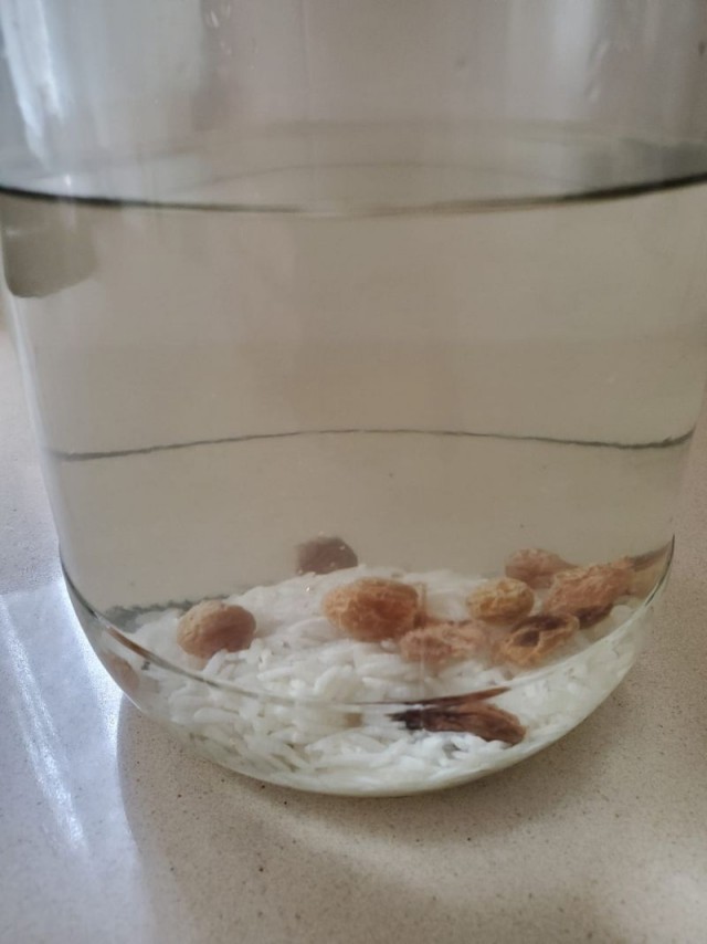 Рисовый квас.