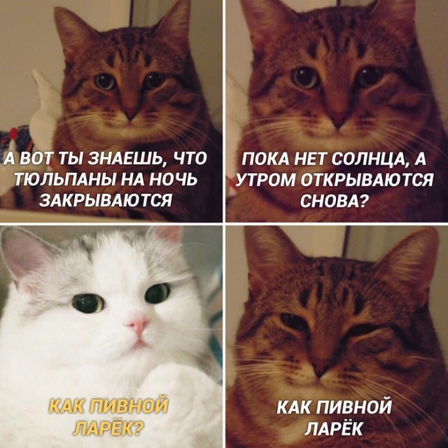Картинки разнообразные. На злобу дня и на доброту (12.08)