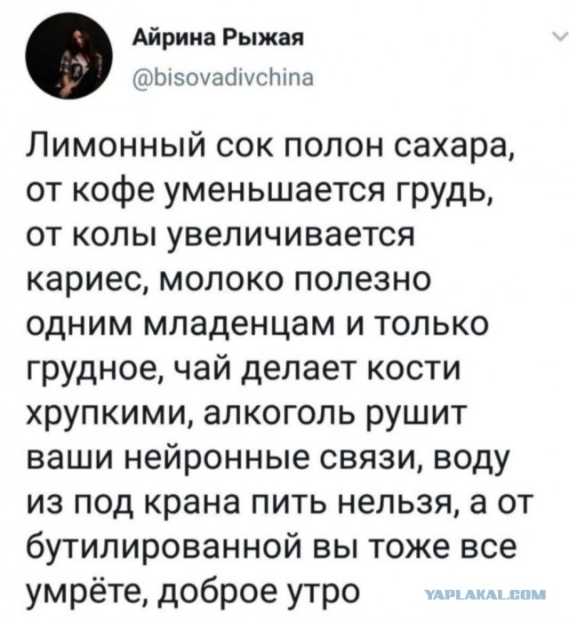 Фотки и картинки: юморные и красивые, забавные и милые 13.11.20