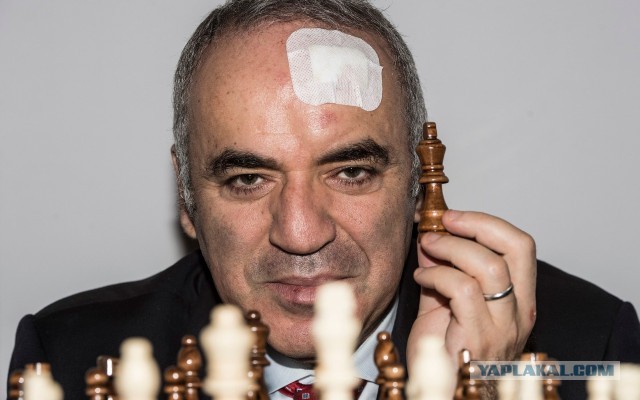 Никаких переговоров: Каспаров требует срочной передачи Крыма Украине