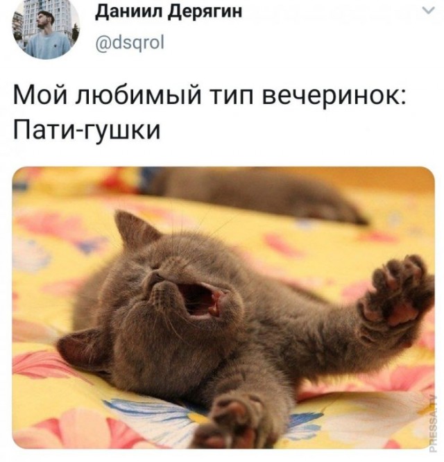 Картинки и мемы для настроения 004