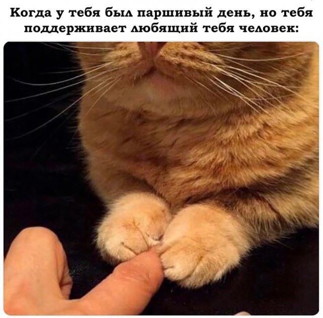 Картинки и мемы для настроения 020