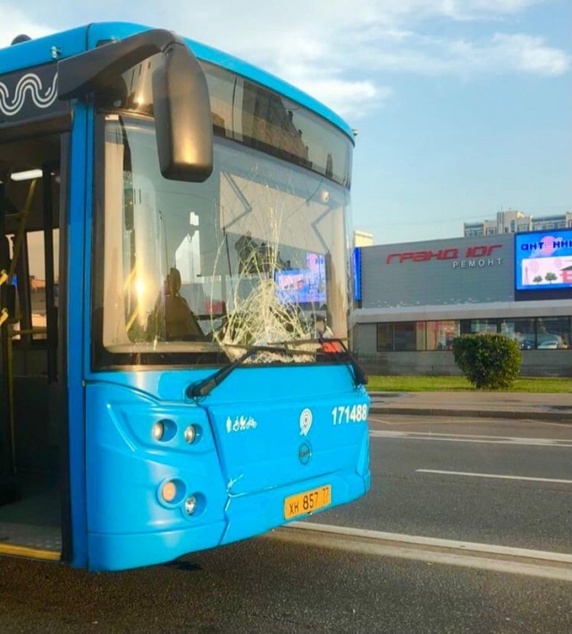 Отважный камикадзе