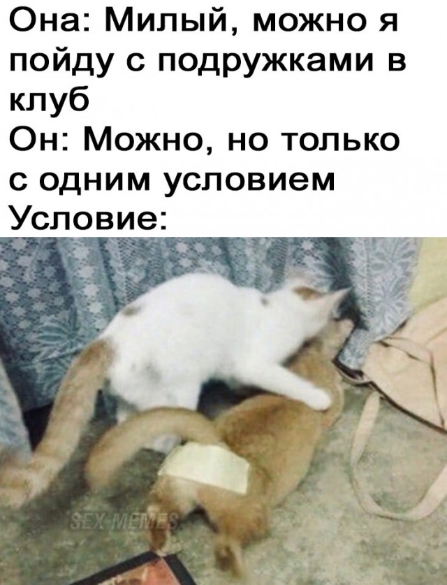 Мемасы (Пошлятина в основном) #2
