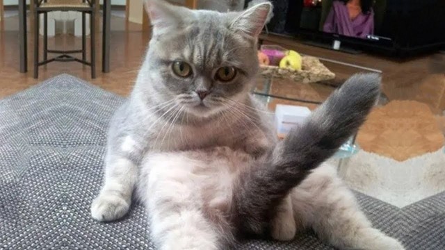 Девушки, которые на что-то намекают