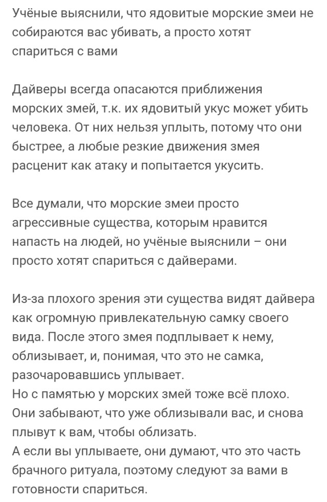 Австралийская морская змея подплыла поздороваться