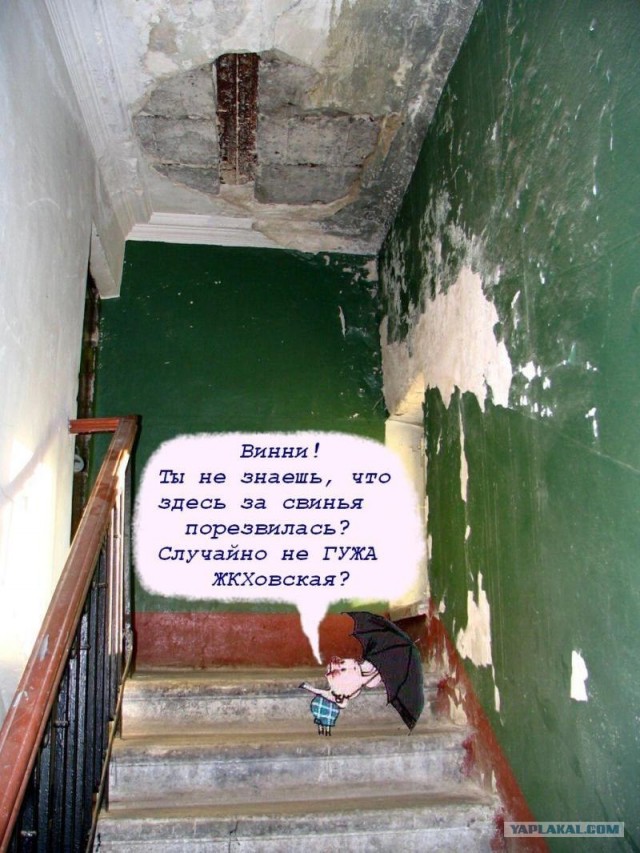 Питер - взгляд по новому