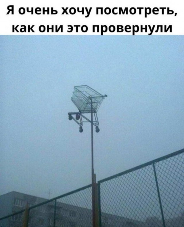Прикольные и просто красивые картинки