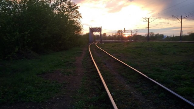 Моя мобильная фотография