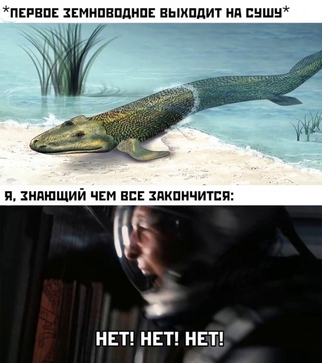 Весёлый полтишок 19.11.2021