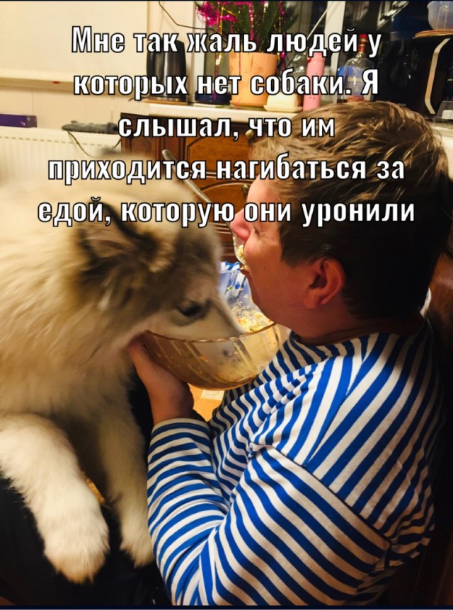 А давайте уже собакочетверг!