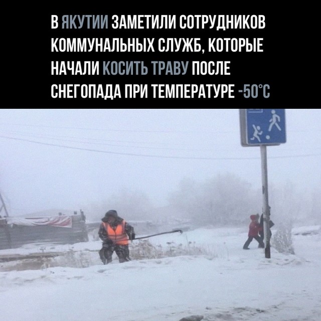 Так себе картинки 24.12.21