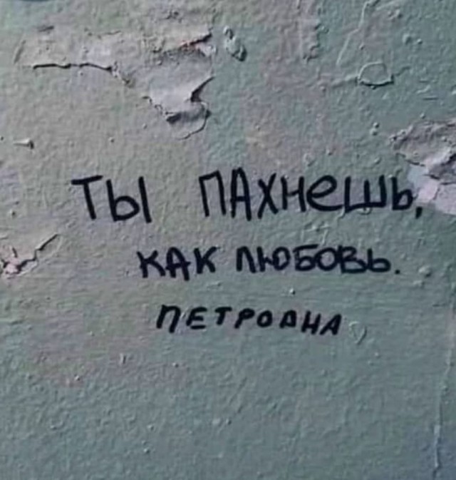 Чуток картинок 30.12.21