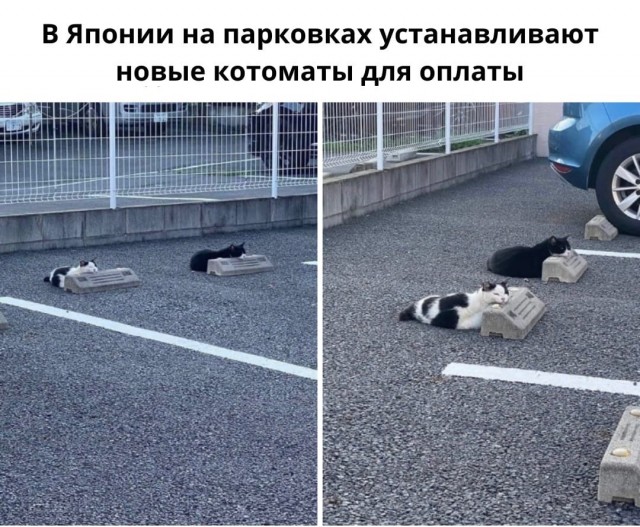 Так себе картинки 24.02.22