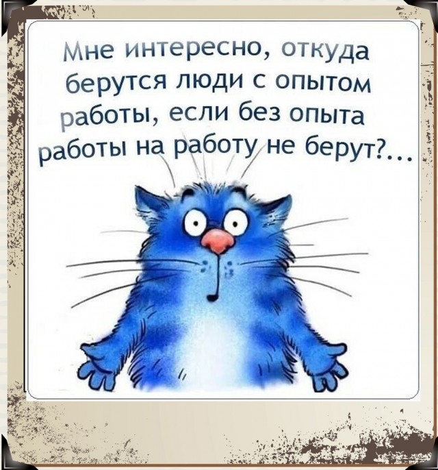 Так себе картинки 23.04.22