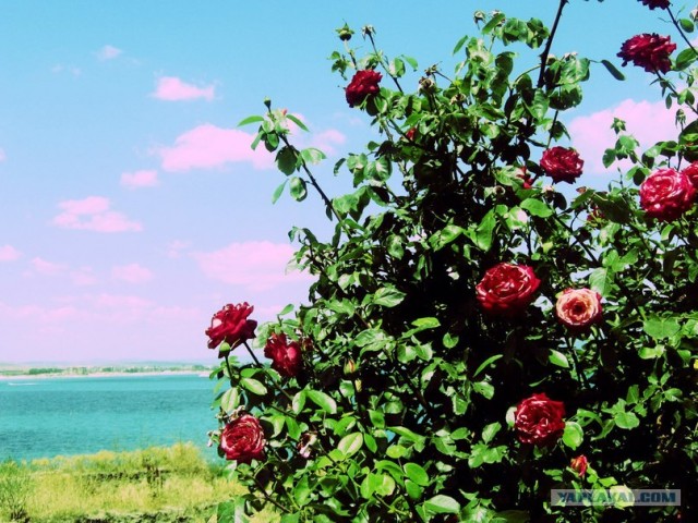 И целого мира мало!