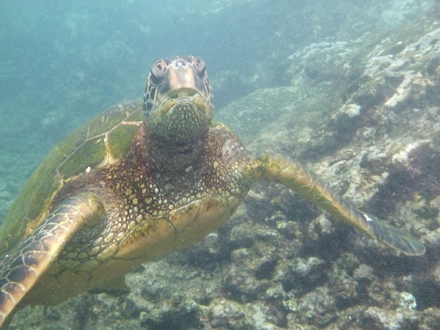 Деревенская Америка