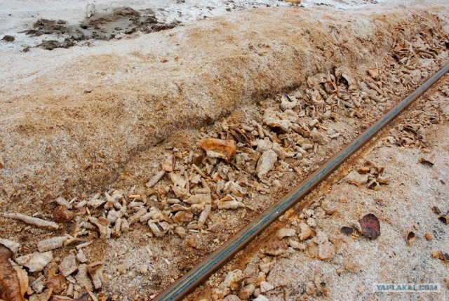 Вот в чем вся соль!