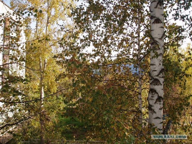 Изменения природы