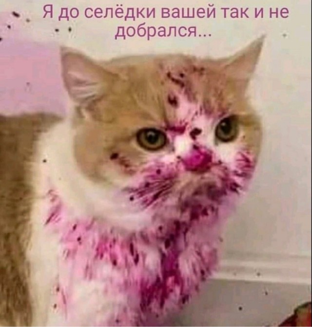 Весёлый полтишок 07.01.23