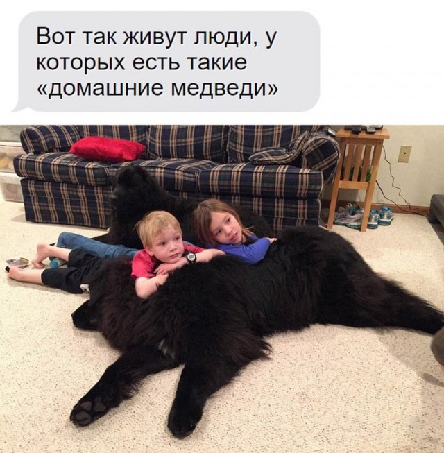 Картинки и мемы, всем хороших выходных