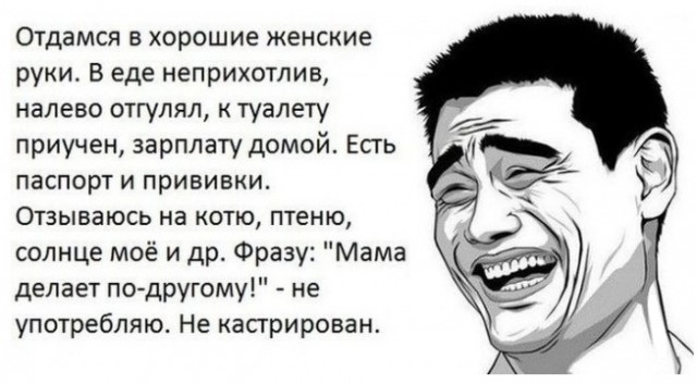 Дрессировка слонов и Аленей
